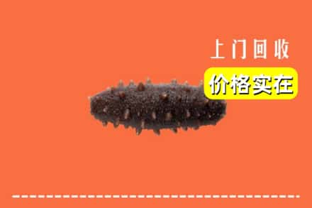收购资讯:永吉县回收海参