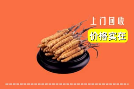 永吉县回收冬虫夏草