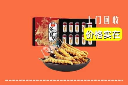 永吉县回收虫草